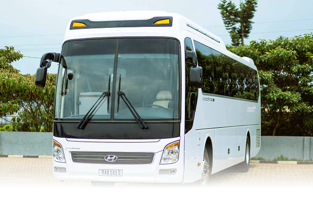 bus